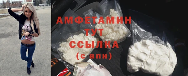 дмт Пестово
