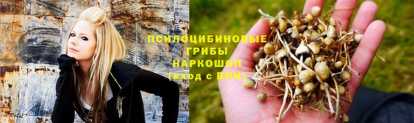дмт Пестово