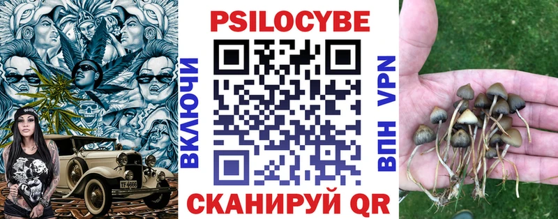 Псилоцибиновые грибы Cubensis  Новая Усмань 